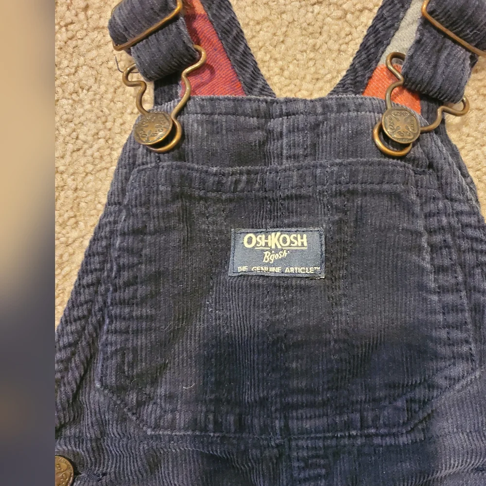 Carhartt Navy Blue Overalls - Picture 3 of 3